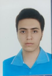 امیرحسین معارف وند